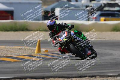 media/Mar-12-2023-SoCal Trackdays (Sun) [[d4c8249724]]/Turn 2 (1130am)/